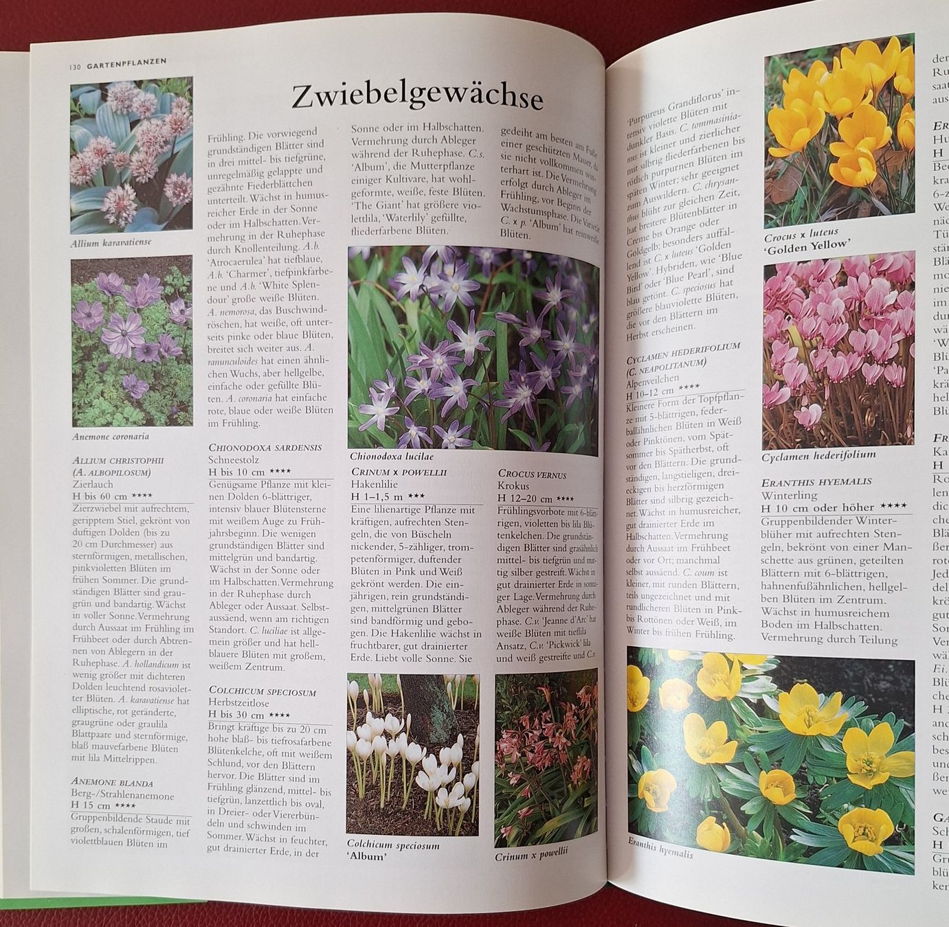 Libri: Buch Garten Handbuch 2000 – Usato da Oberriet SG venduto da Atir47 7
