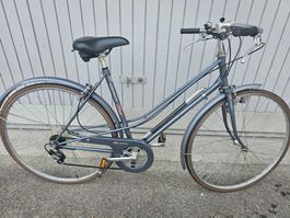 velos 4 Spezialized Klein  BMC Condor