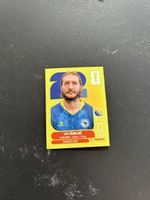 Panini BIH 11