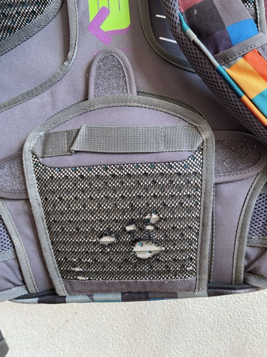 Coocazoo Zaini: Coocazoo Rucksack  – Usato da Schachen LU venduto da ali_hz6l 4