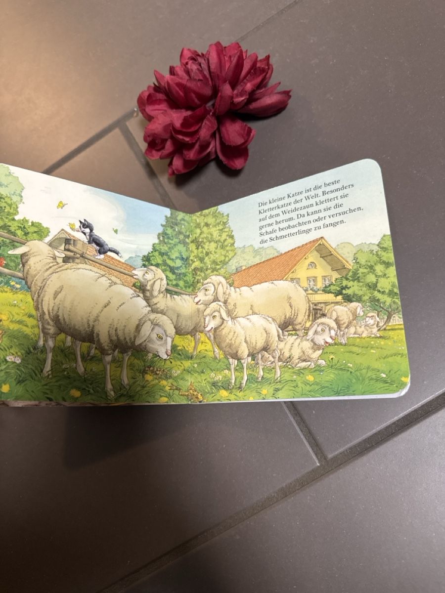 Libri: Was machst du, kleine Katze Kinderbuch – Usato da Zürich venduto da Belisimo 2