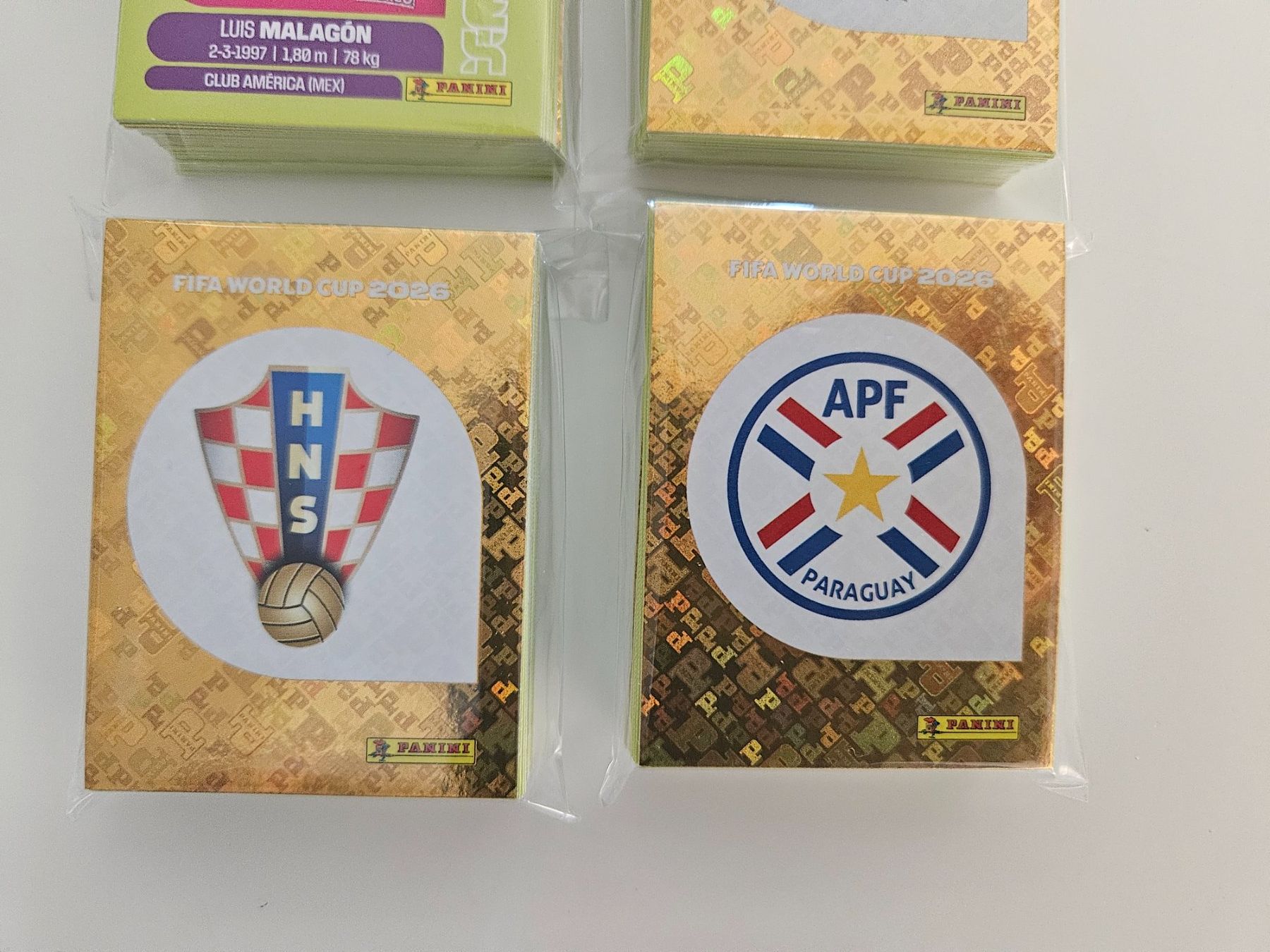 Panini Carte collezionabili: 260 figurine wm2026 – Nuovo (secondo la descrizione) da Morbio Inferiore venduto da vin_fdj2 2