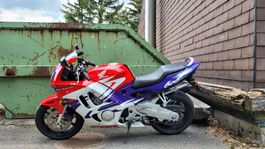 CBR 600 PC 31, gepflegt ab MFK