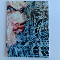HR Giger Buch Polaroids 2014
