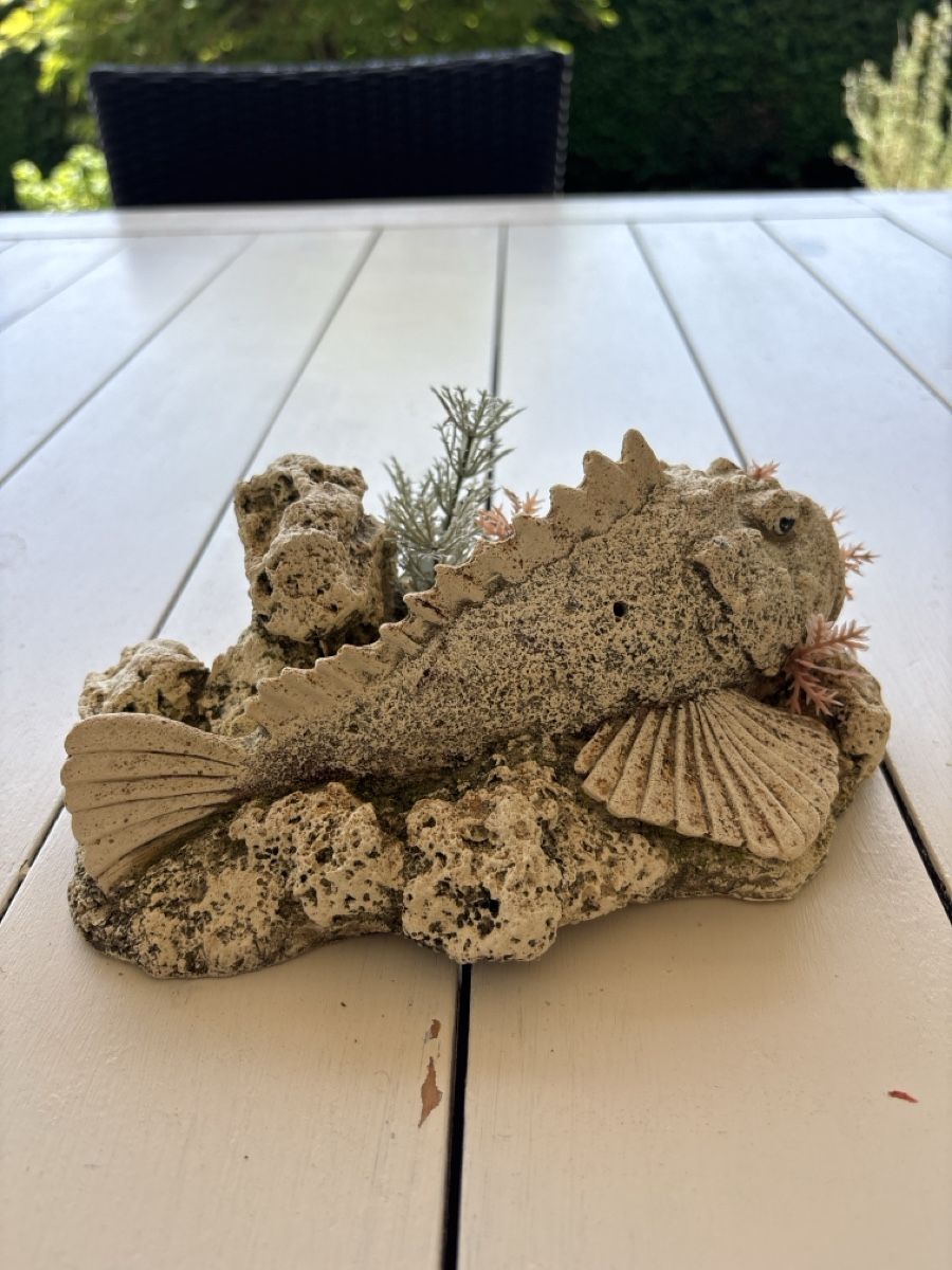 Tutte le decorazioni: Fisch Statue für Aquarium – Usato da Aarwangen venduto da tri_vr92 1