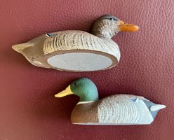Enten Kunstharz