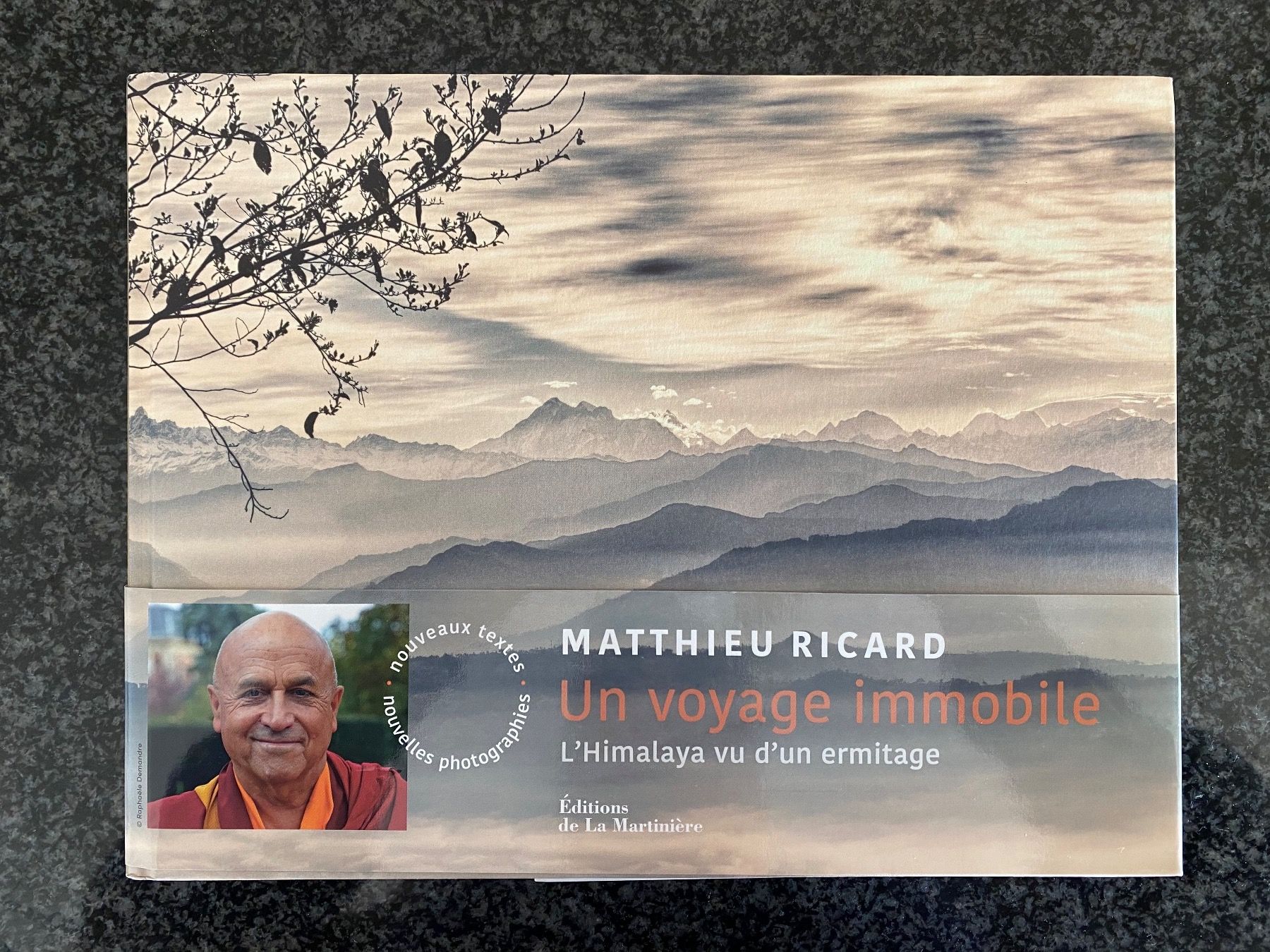 Bücher: Matthieu Ricard - Un voyage immobile – Gebraucht aus Zürich von pat_rx9j