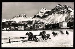 Arosa, Pferderennen im Winter mit Ortspa