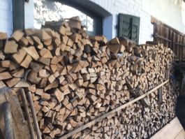 Birken Brennholz 