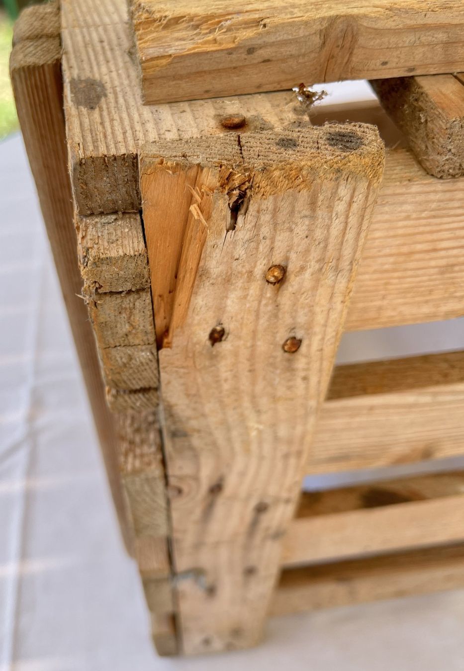 Casse di trasporto: Holzharass von Howeg – Usato da Wiesendangen venduto da Frohberg 4