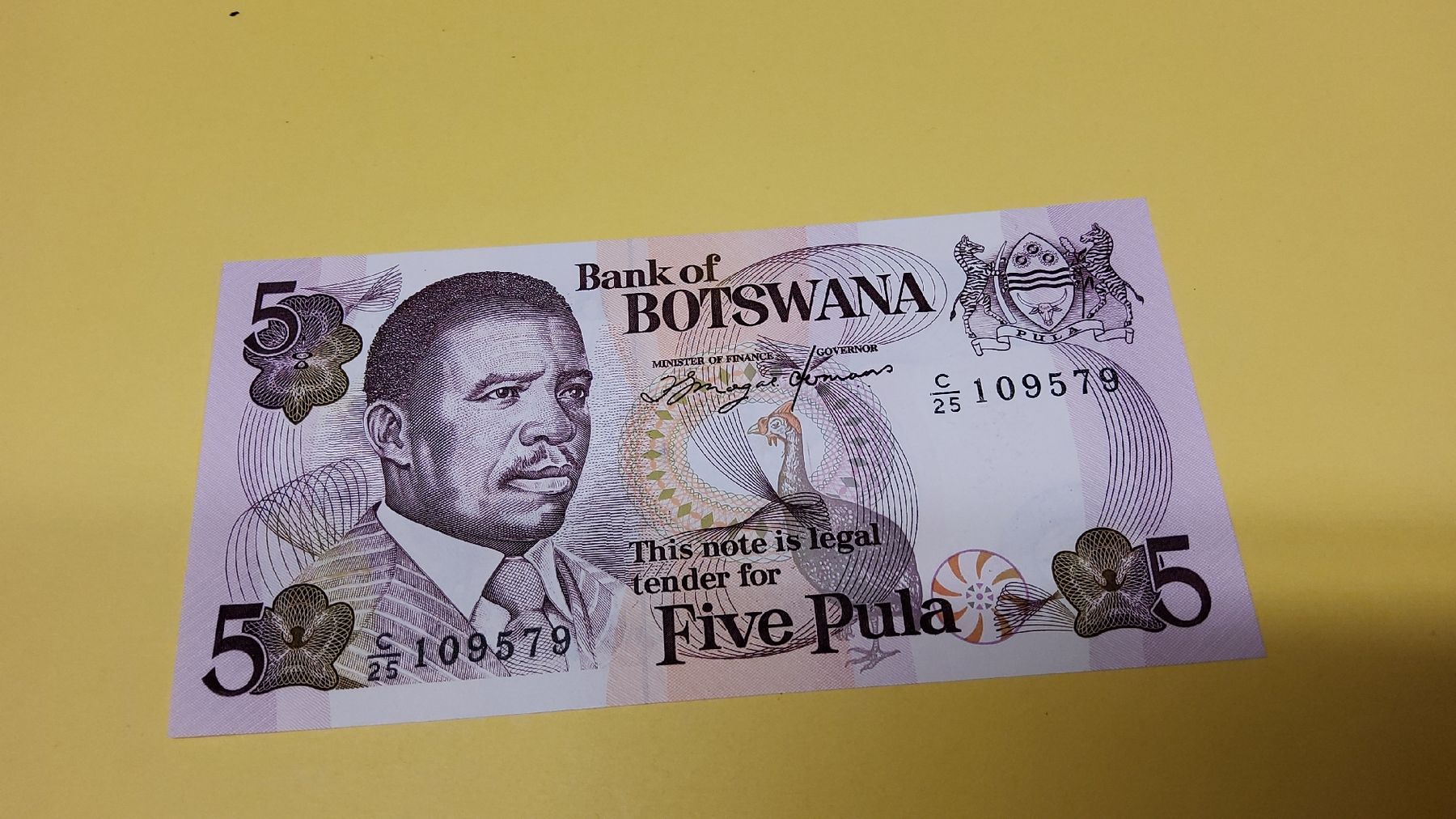 Banknoten: Botswana 5 Pula 1991, P25, seltene Banknote – Neu und originalverpackt aus Herisau von Nluanalucas