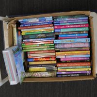 Kiste voll mit Jugendbüchern
