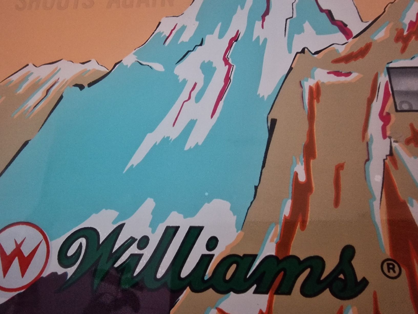 Williams Flipper: Flipper Williams Shangri-La 1967 – Difettoso da La Chaux-de-Fonds venduto da Ric_m628 8