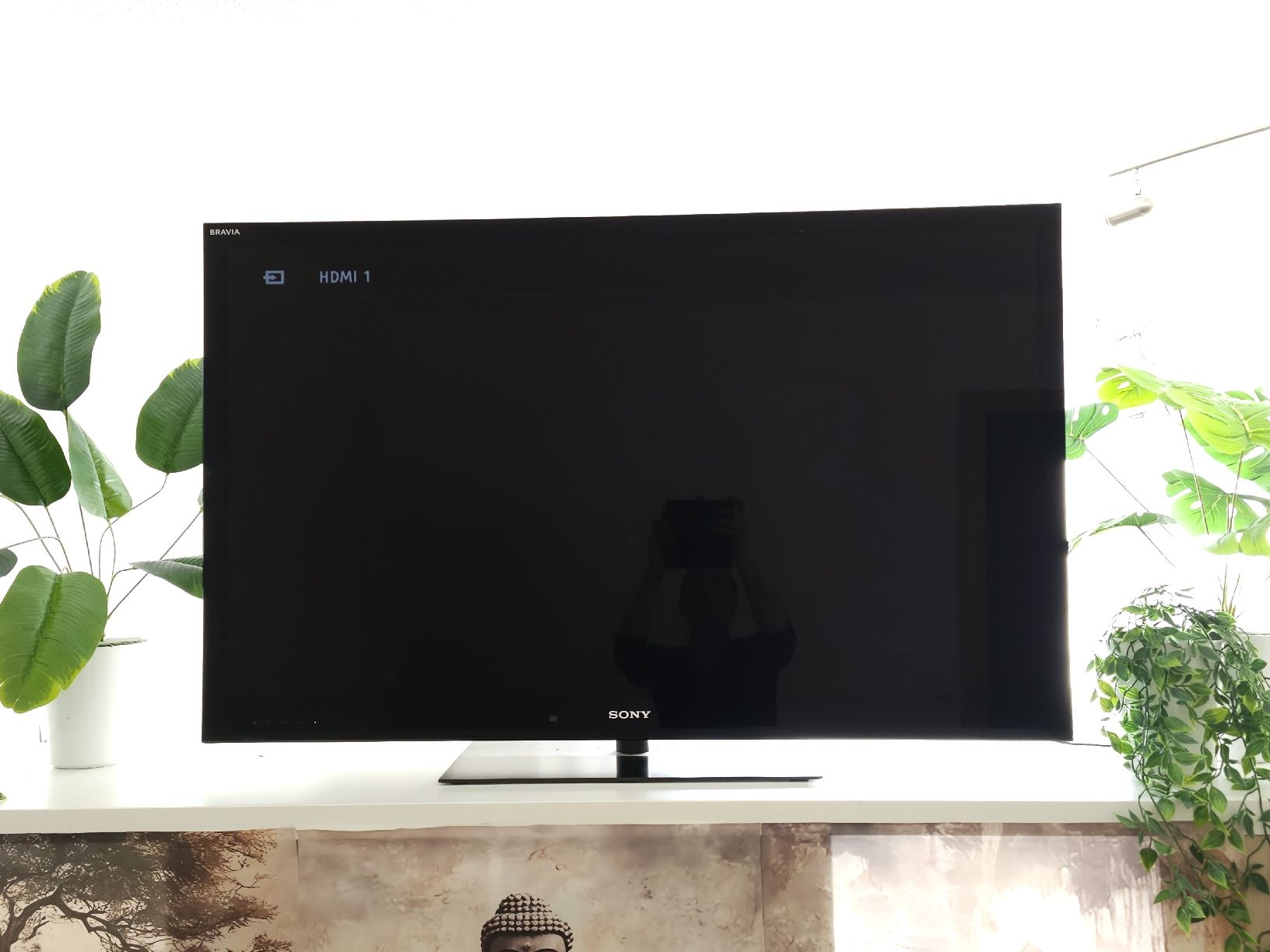 Sony Televisori: Top Sony Bravia TV - 117 Diagonal – Usato da Gretzenbach venduto da Claudia880