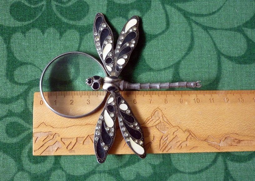 Sonstiges zu Optik: Pierre-Bex -  Art-Deco Libele mit Lupe - Anhänger Kette – Gebraucht aus Adliswil von di_hans 9