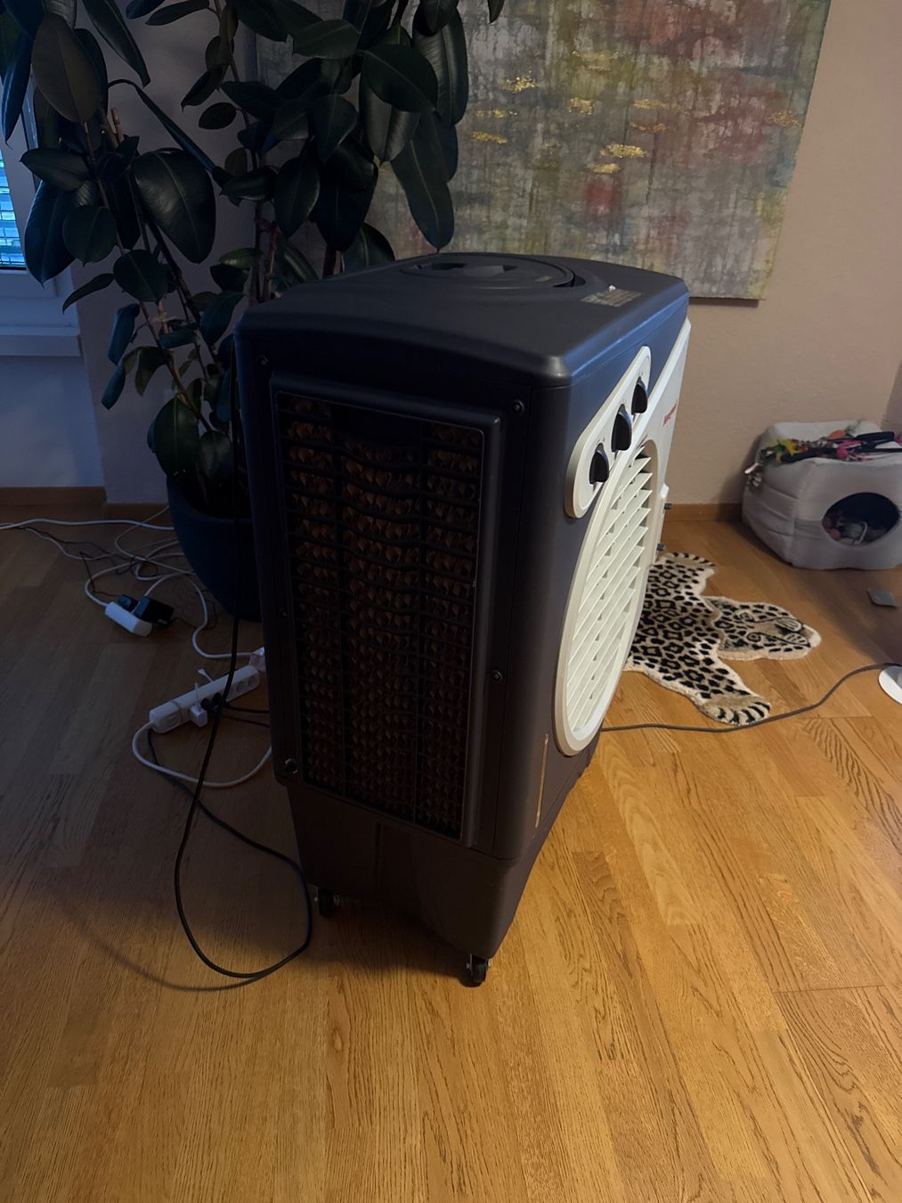 Honeywell Klimageräte: Honeywell Air Cooler – Gebraucht aus Zollikon von Jamielynnhucks 1