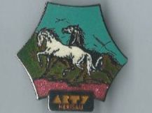 Reiten Herisau, Pin