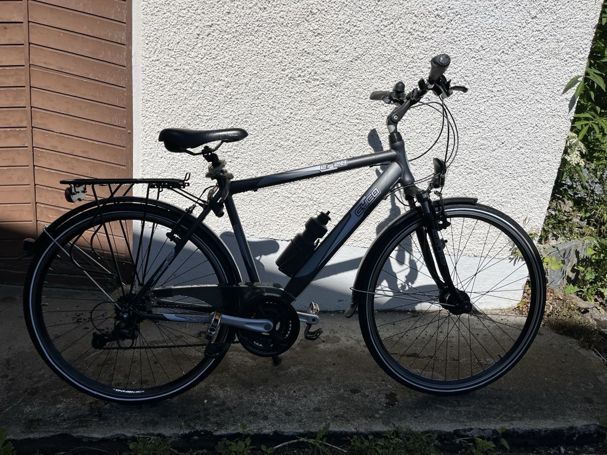 elektrofahrräder herren Elektrofahrrad, 20 Zoll E Bike 160NM Doppelmotor Herstellerfarbe:Pea´n´Green DAMEN Bluewheel BXB55 - Faltrad