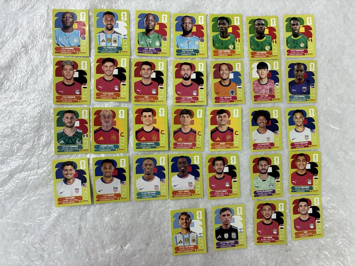 Panini Carte collezionabili: Panini WM 2026 Sammelbilder  – Usato da Emmen venduto da paesu6