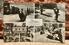 1958 - BÄRENGRABEN Bern - Tiere - Mehrbild
