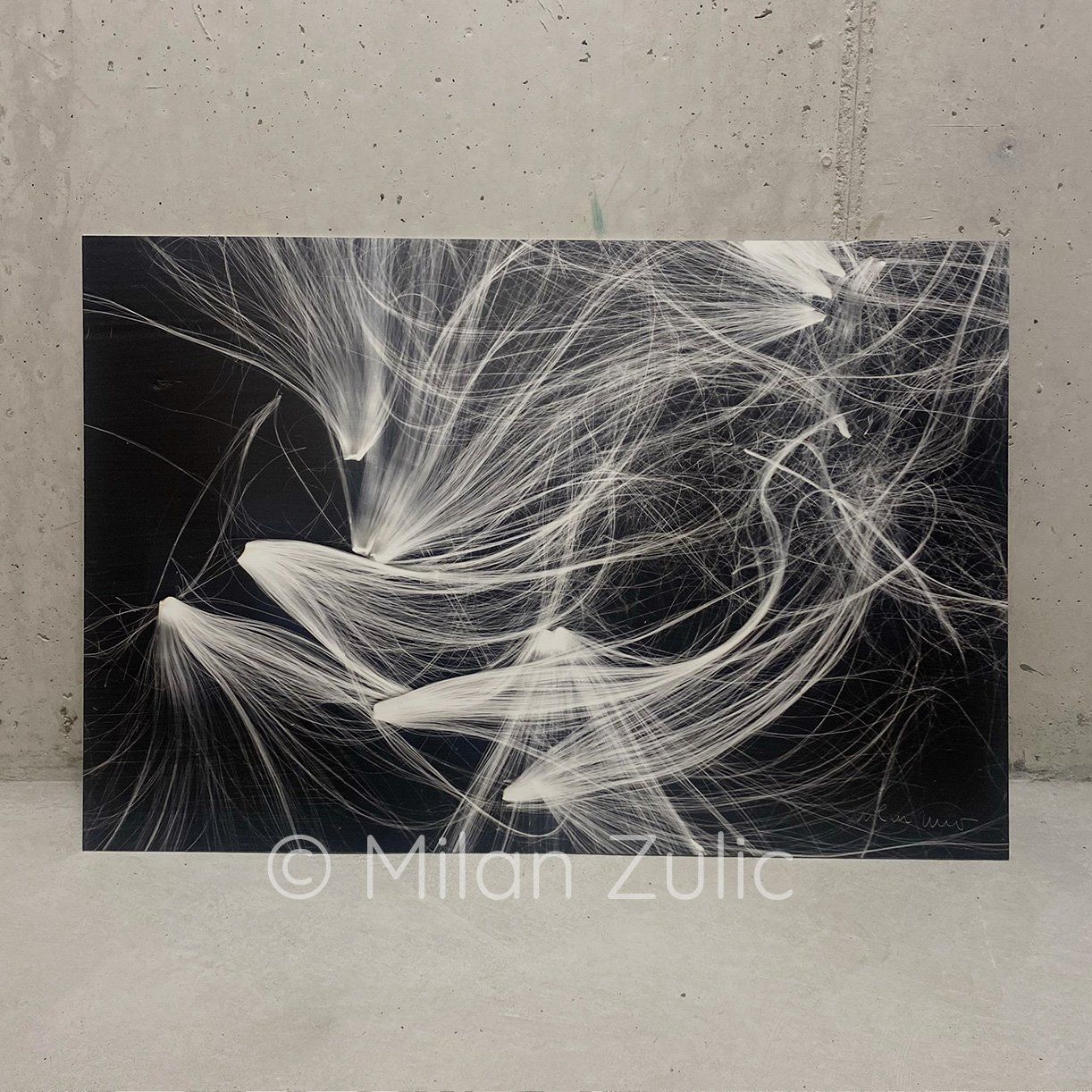 Foto & Immagini: Milan Zulic ~44 – Nuovo (secondo la descrizione) da Uetikon am See venduto da mil_7k2b 1