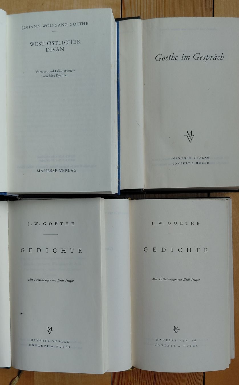 Libri: 10 Manesse Bücher – Usato da Trogen venduto da Limboo 7