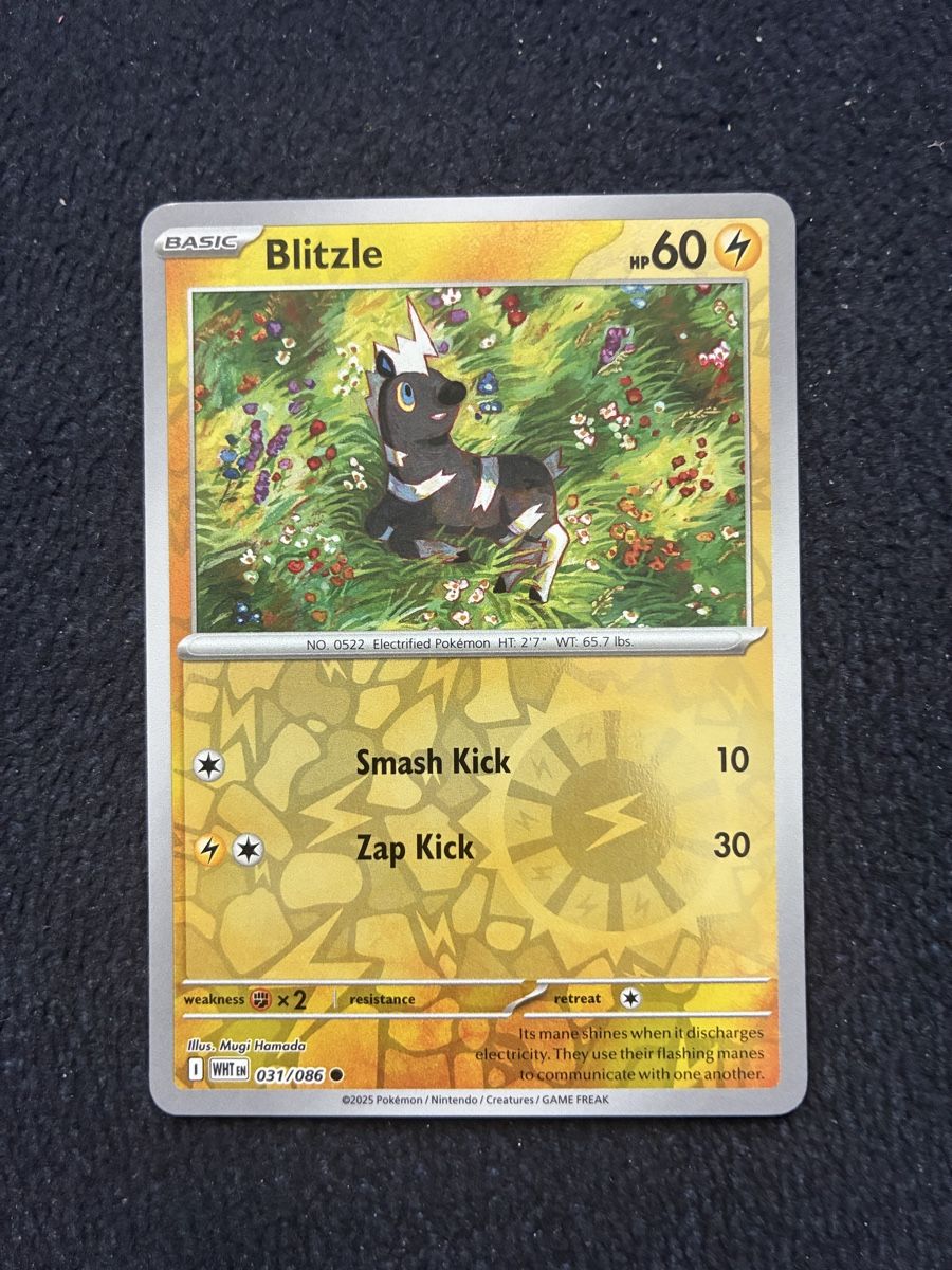 Pokémon Carte collezionabili: POKEMON CARDS WHITE FLARE REVERSE # 31 – Nuovo (secondo la descrizione) da Taverne venduto da YOHISTORE