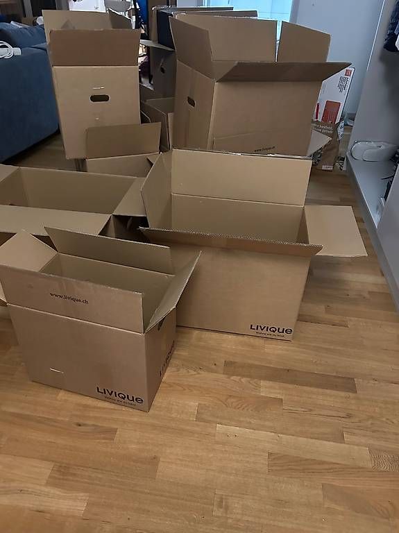 Kartons: 11 Umzugskartons 58cm – Gebraucht aus Zürich von Nia_S 1