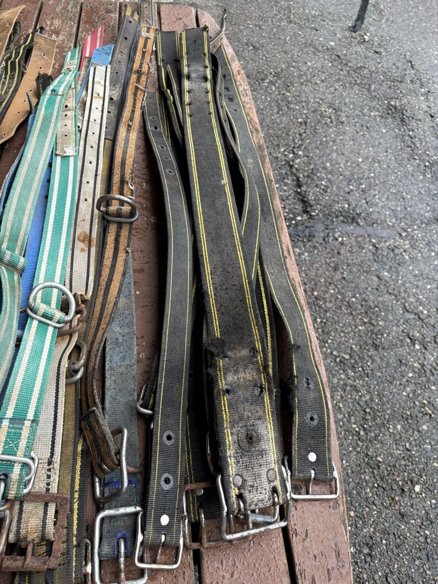 Glocken & Treicheln: 35 Stk. Kuhhalsbänder/ Nylonriemen – Gebraucht aus Schangnau von Roseggli82 3