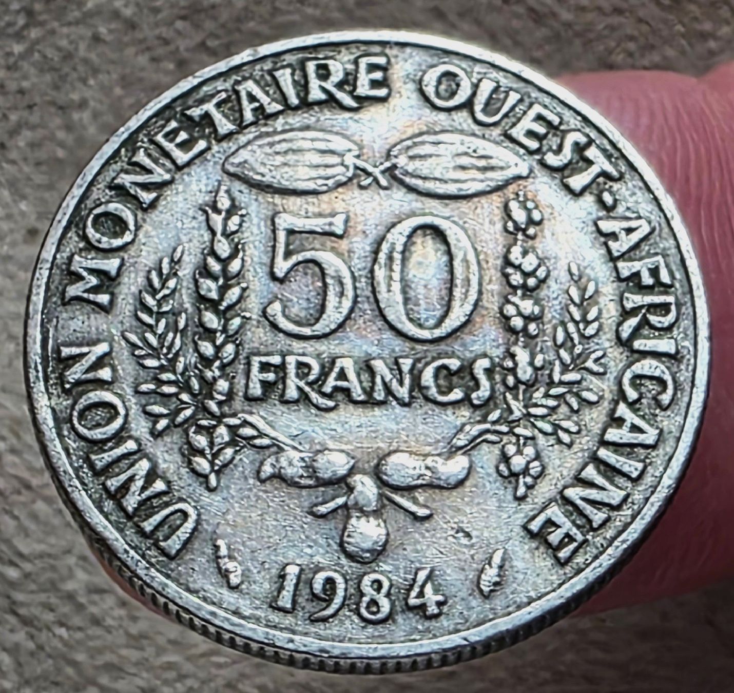 Alle Münzen: WEST AFRICA 50 FRANCS 1984 – Gebraucht aus Winterthur von Creso70