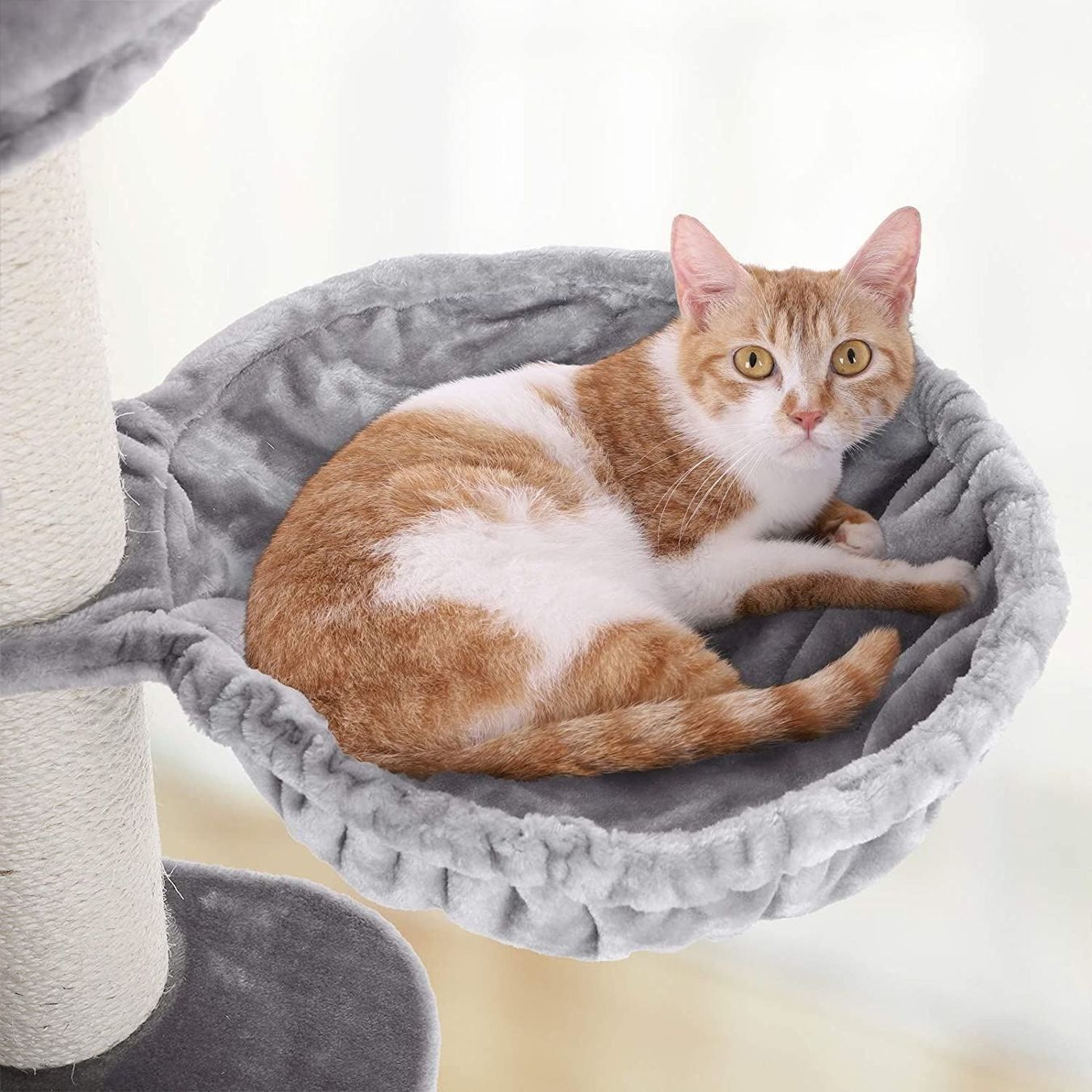 Katzenbaum - Kratzbaum: FEANDREA Kratzbaum XXL Hellgrau 112 cm – Neu und originalverpackt aus Bottighofen von zaap 7