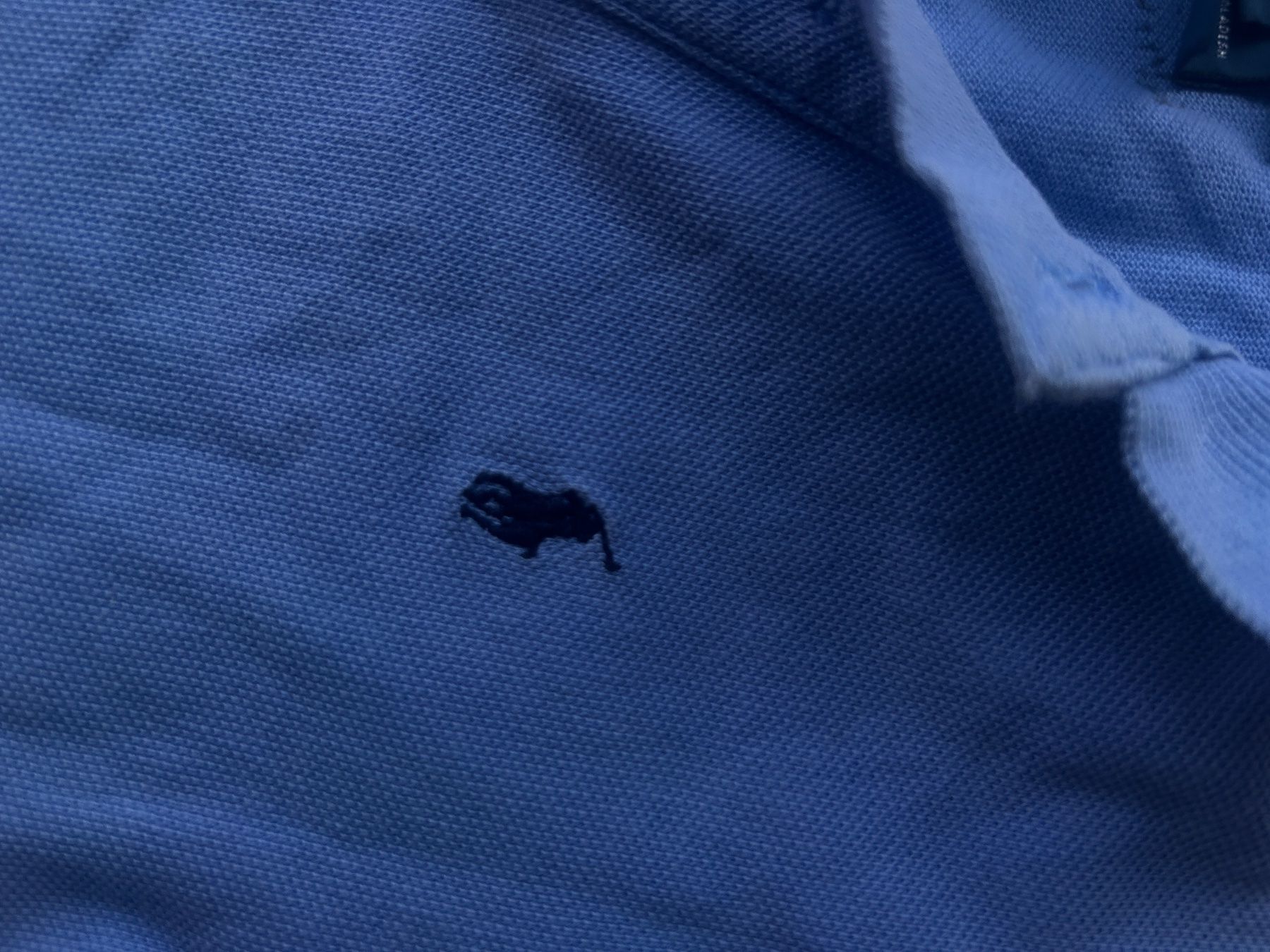 Polo Ralph Lauren Chemises, T-shirts & Polos: Polohemd blau – D'occasion à Bern par 44RewornHunter 2
