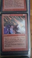 Magic The Gathering Karten Konvolut guter Zustand