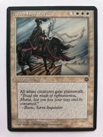MTG - Aysen Highway