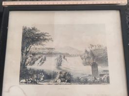 Stich Bild Rheinfall - Chutte du Rhin / Schaffhausen