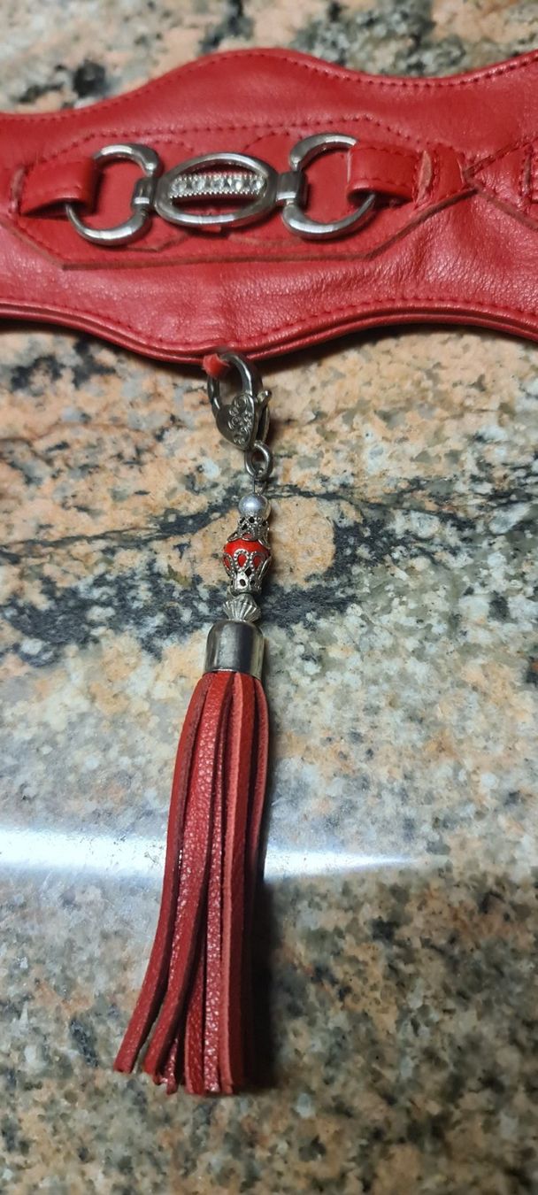 Leine & Halsband: Windhund Halsband – Neu (gemäss Beschreibung) aus Bellerive VD von Hermes5 4