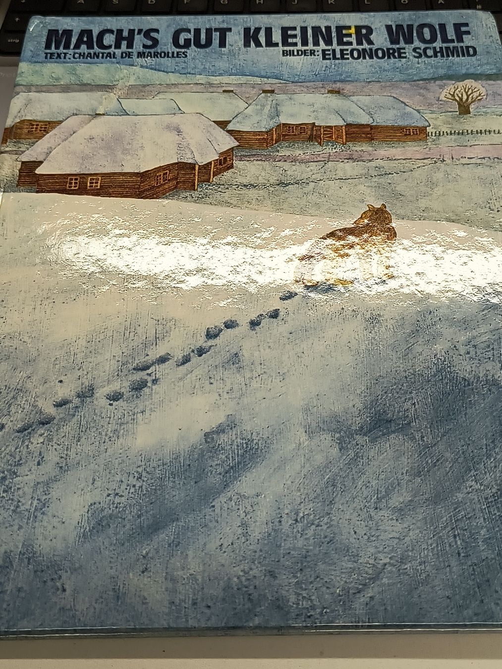 Libri: Winterliches Kinderbuch "Mach's gut kleiner Wolf" – Usato da Oberweningen venduto da Bumblebee2