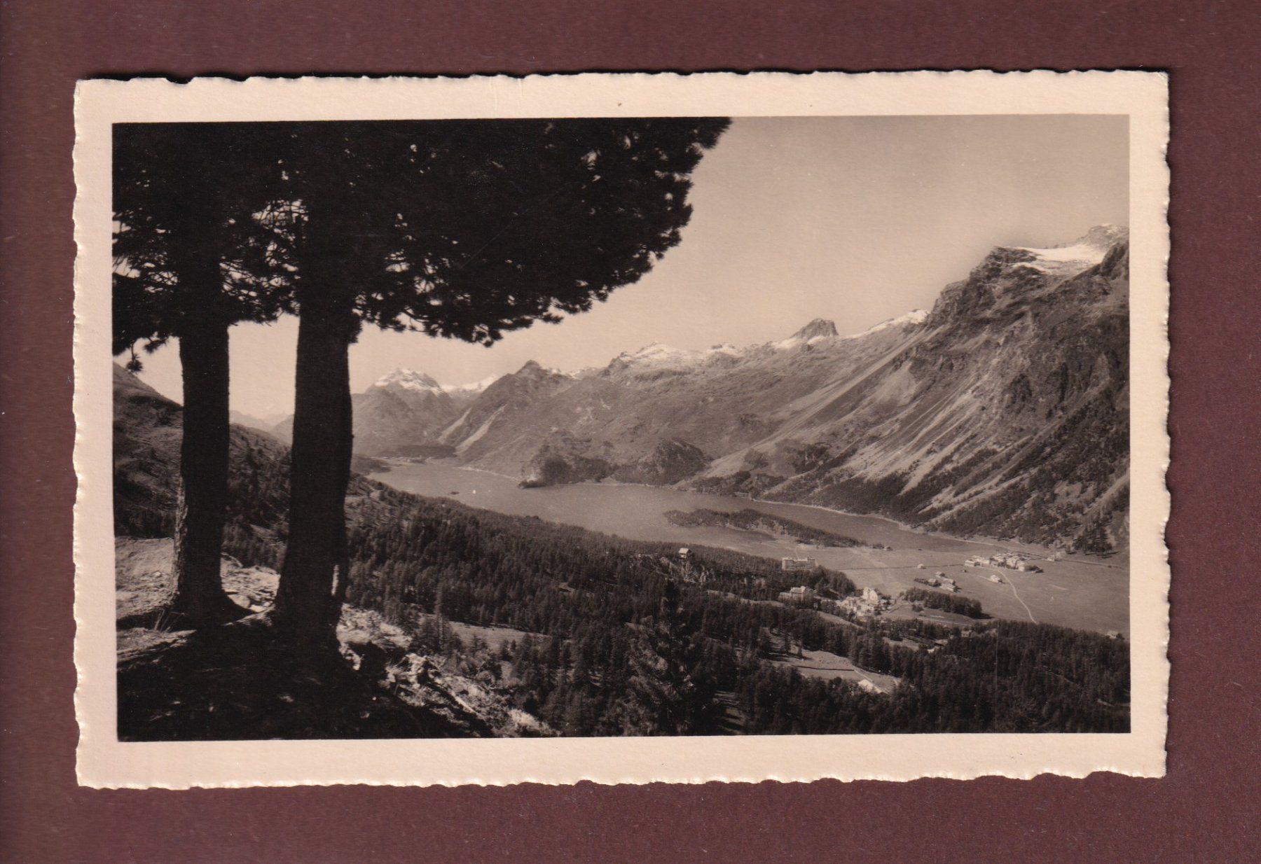 Cartes postales: SILS - Silser-See - Maloja – D'occasion à Pully par nicecards-shop