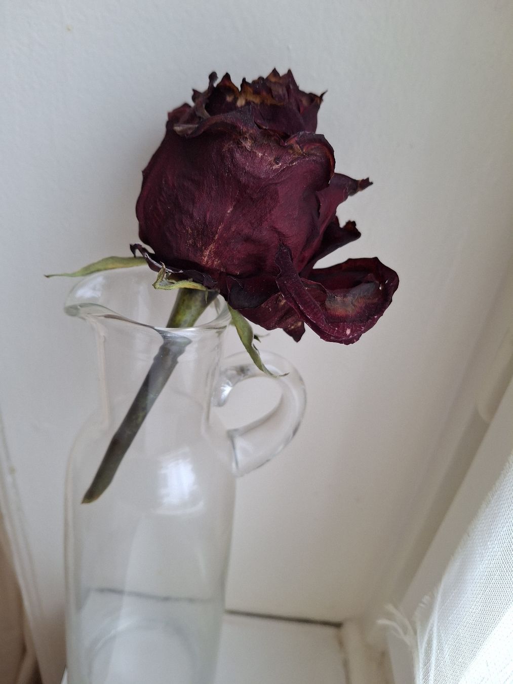 Vasi & Recipienti: Vase – Usato da Zürich venduto da wildflower26 3