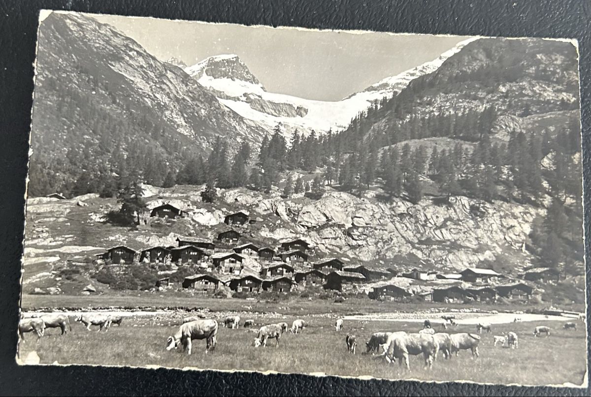 Ansichtskarten: Lötschental Gletscheralp  – Gebraucht aus Horw von Tellbub