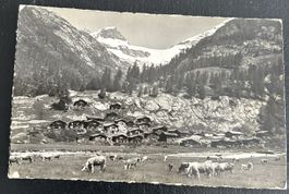 Lötschental Gletscheralp 