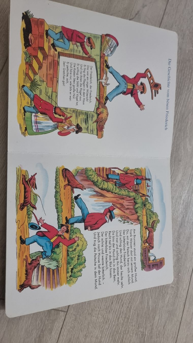 Libri: Struwwelpeter Karton Bilderbuch – Usato da Wigoltingen venduto da Zuckerfee84 3