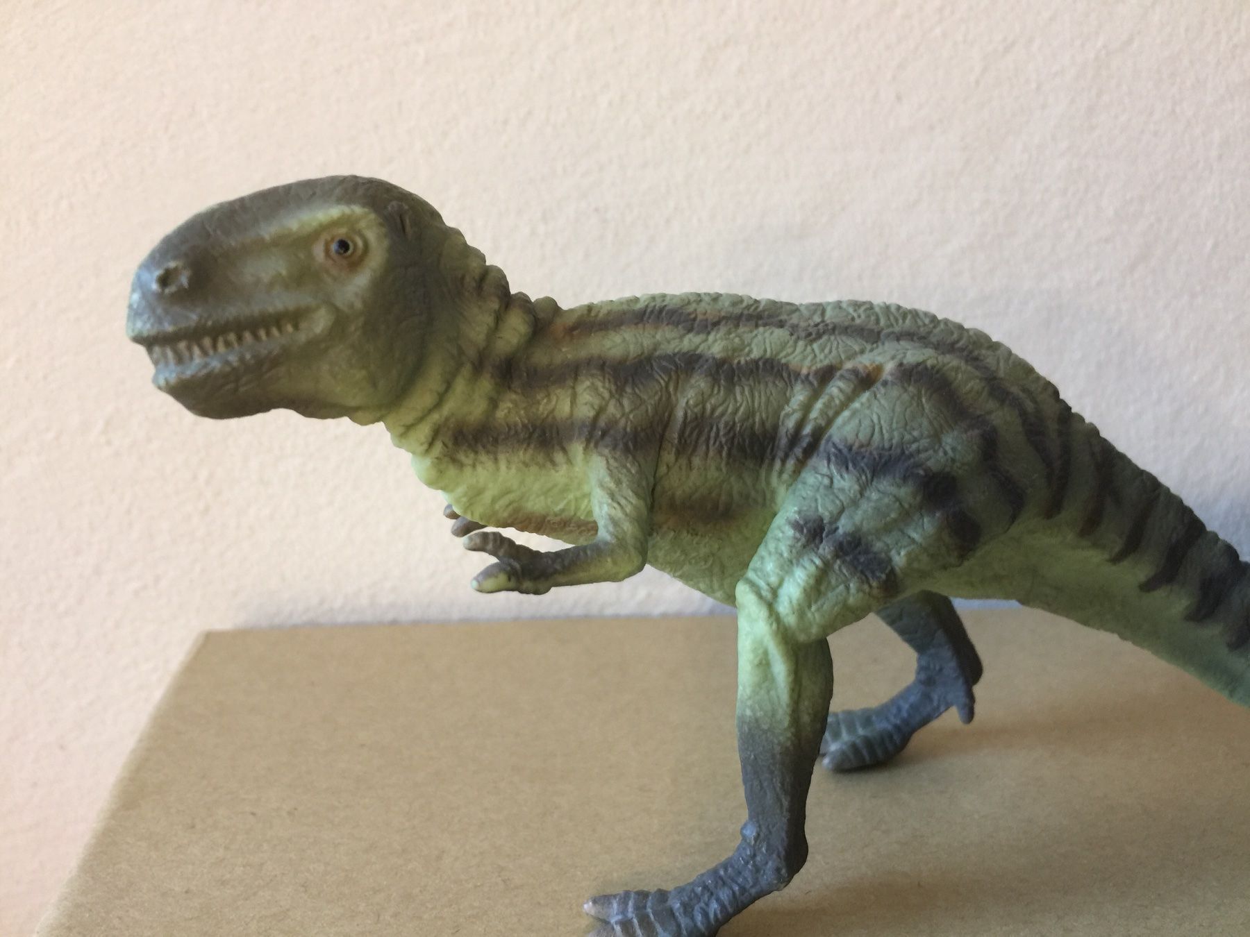 Schleich Statuette: Schleich Albertosaurus 16443 Dinosaurier – Usato da Ennetbaden venduto da mapa05 1