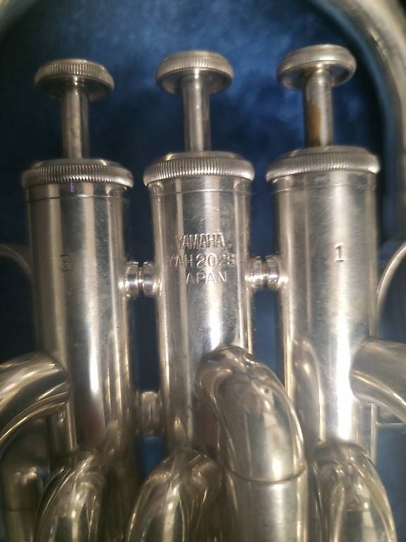 Strumenti musicali: Vendo althorn yamaha yah 202S – Usato da Faido venduto da SX32 2