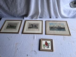 4x Bilder (63)