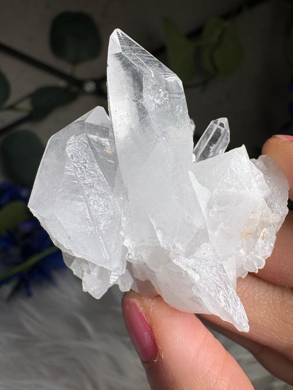 Mineralien & Heilsteine: Kolumbianischer Lemurian-Quarz-Cluster – Neu (gemäss Beschreibung) aus Neuheim von m.hald 1