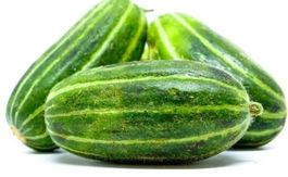 Ab 5.- fr 10 Samen CAROSELLO BARESE 5 SAMEN Concombre doux