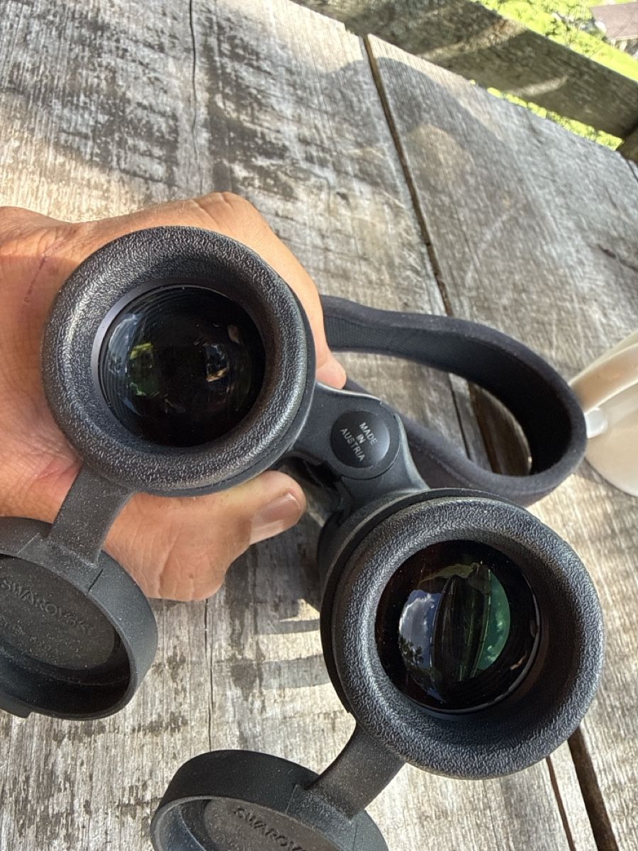 Swarovski Optik Feldstecher: Swarovski CL 10x32 – Gebraucht aus Schüpfen von Curon4