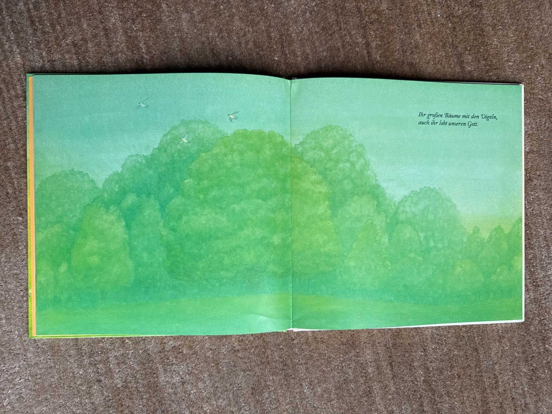 Libri: David singt  - Masahiri Kasuya – Usato da Aarau venduto da Kilauea 4