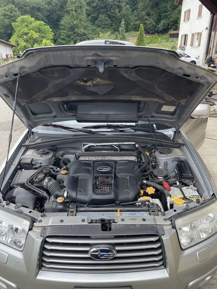 Subaru Automobili: Subaru Forester 2.5 XT AWD – Usato da Bülach venduto da andreas.kern 3